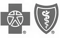 Porsche logo
