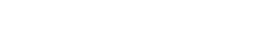 Nikki Stone Logo